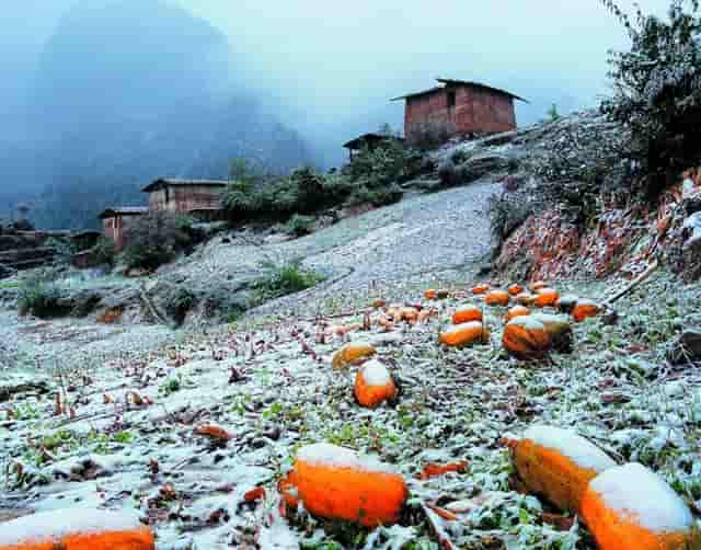 墓葬中考古发现