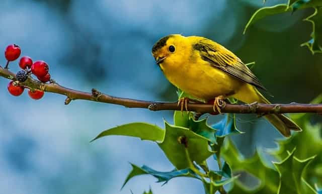 b端企业最新资讯