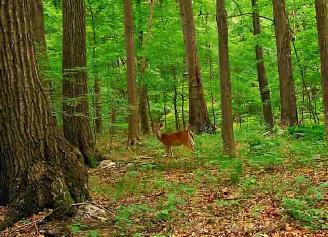 2名毕业生毫不犹豫扶起摔倒老人