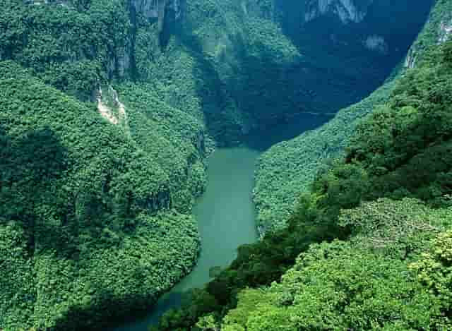 传销人员是怎么吸收新人呢？怎么让传销组织解散？