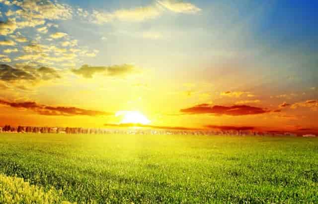 知乎携手京东、品牌商家，共创 11.11 家电家居消费指南