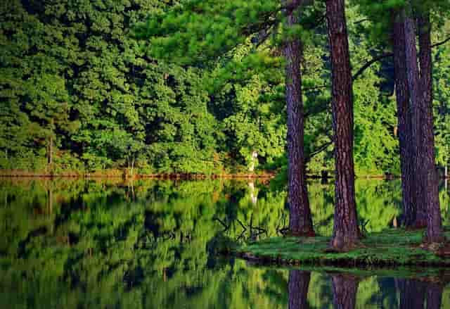 HECTAUS澳洲瀚德移民： 2024年高考后澳大利亚留学详细指南