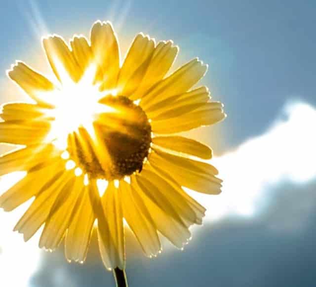 挖掘税收优惠政策(生活服务业税收优惠政策)