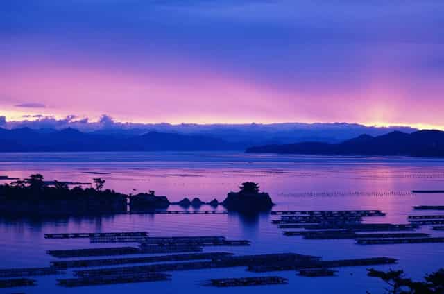 西比曼和杨森进一步深化合作  共同推动细胞治疗产品中国商业化进展