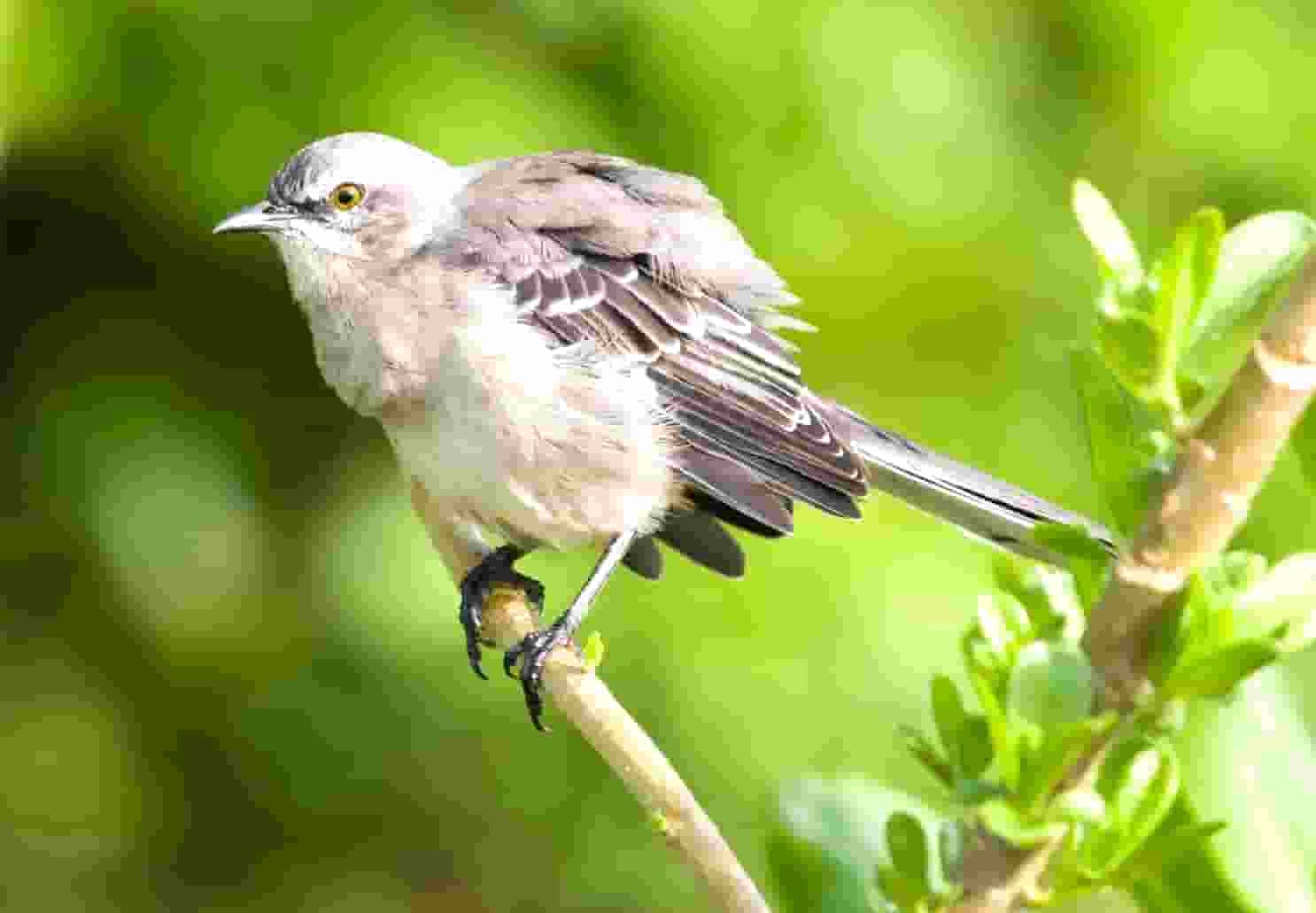 517不动产企业动态资讯