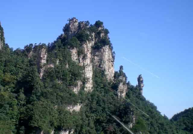 袖虎病猫攻略：猫白内障的原因你知道吗