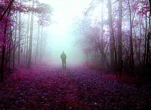 20年注册的资讯类的企业订阅号