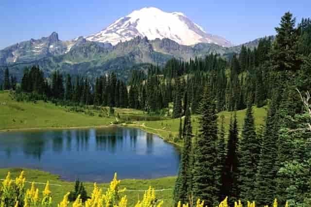 一个女人值不值