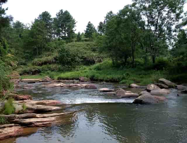 2021上海考上清华北大