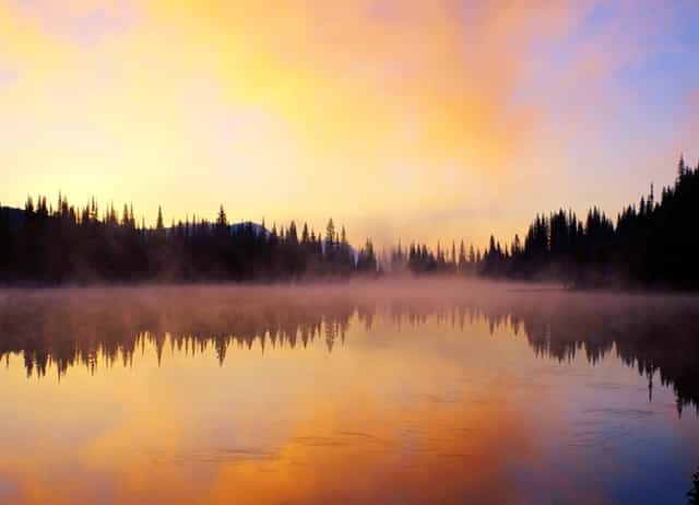 西比曼组建免疫和炎症疾病科学顾问委员会 加速自免疾病治疗领域研究进展