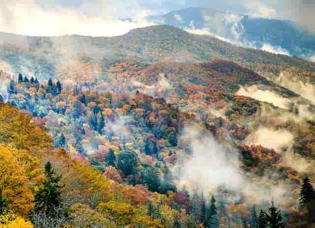 farnslou法西路企业资讯