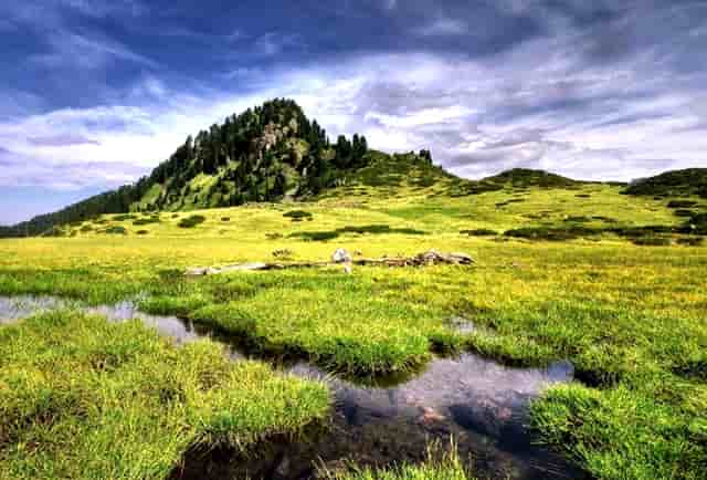 如何将自己深陷传销的亲朋好友拉回来？教你反传销三种攻略！