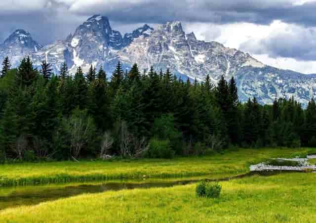 新浪官网、今日头条官网——国内仅有在个人手中的顶级域名