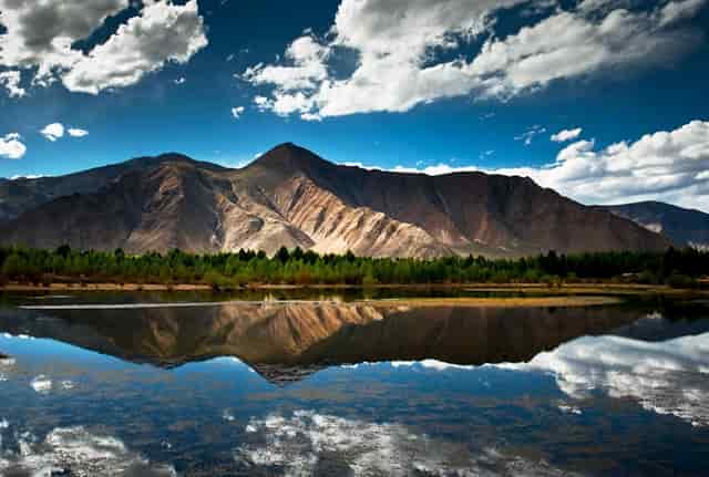 胡海泉灥喜锅企业探讨火锅毛肚新吃法