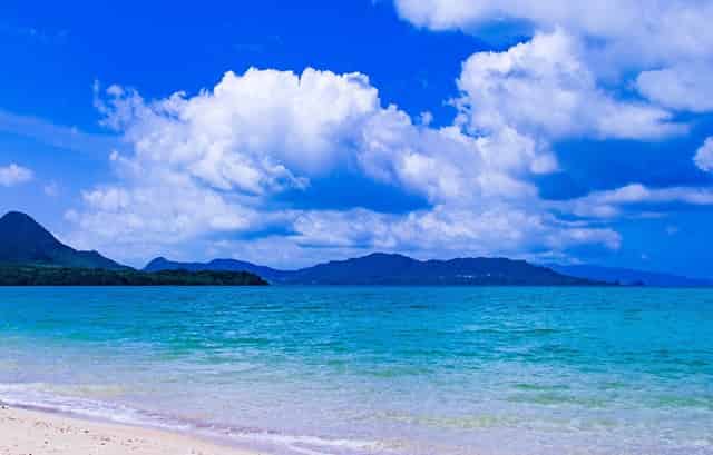 dm企业动态资讯