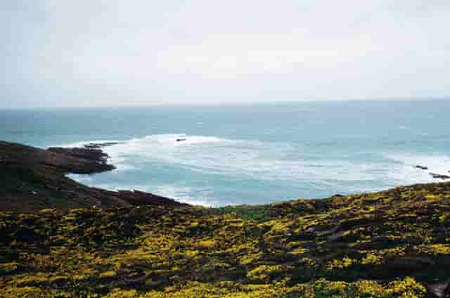 时尚行业编辑技巧(时尚编辑属于什么行业)