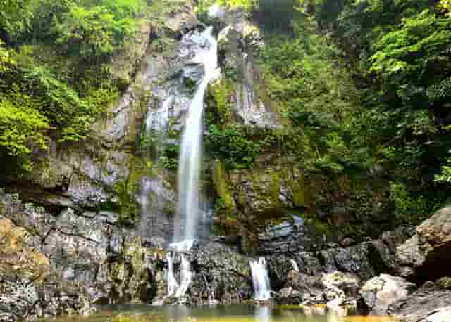 袖虎病猫攻略：猫感冒的原因和预防