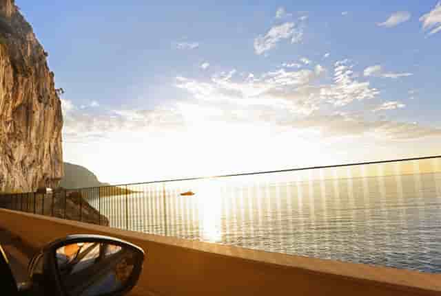 袖虎病狗攻略：狗狗也有白内障吗？