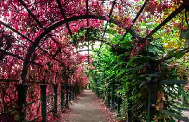 胡海泉本宫为何如此火爆呢？