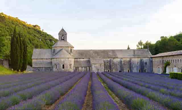 女乒王曼昱决赛(女乒王曼昱简介)