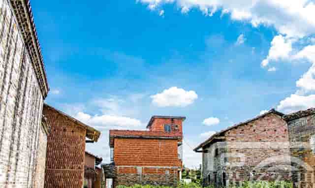 袖虎带你注意宠物美容的问题