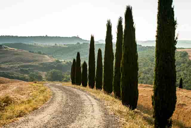 灥喜锅火锅分享管理