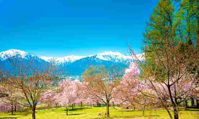 樊振东怎么评价许昕(张继科马龙许昕樊振东谁厉害)