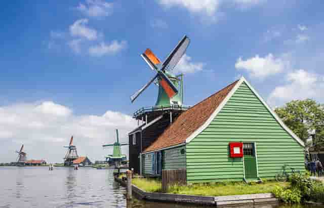 胡海泉本宫的茶有哪些特点呢？