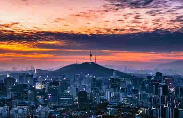 女子乒乓球东京奥运会时间(东京奥运会女子乒乓球名单)