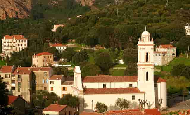 蔡嘉珍獲得註冊理財規劃師專業稱銜，秉持職業操守與執業準則，開啟財務規劃新征程