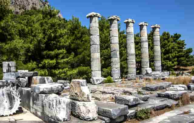 研究生读了几年可以考研(2020年研究生读几年)