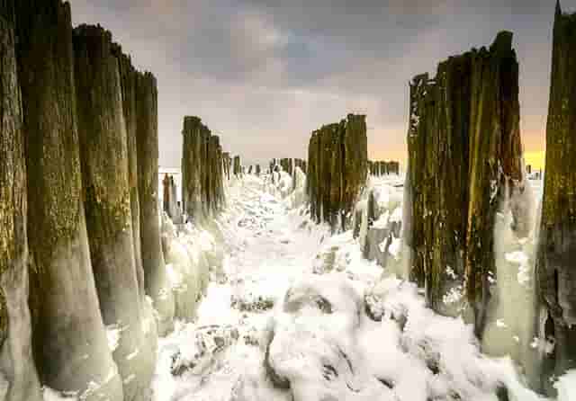 胡海泉本宫的茶有哪些热门的饮料呢