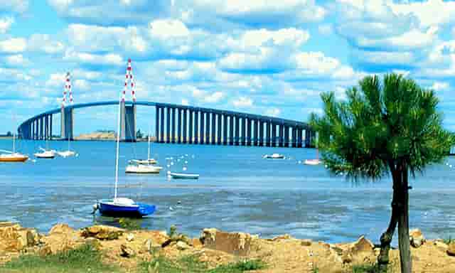 袖虎病狗攻略：狗的几种常见皮肤病，你都知道吗？