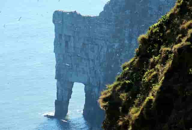 胡海泉本宫的茶为什么受到年轻人的喜爱？