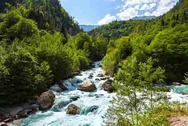 进入热门宠物行业，“口碑王”袖虎宠物带你成功！