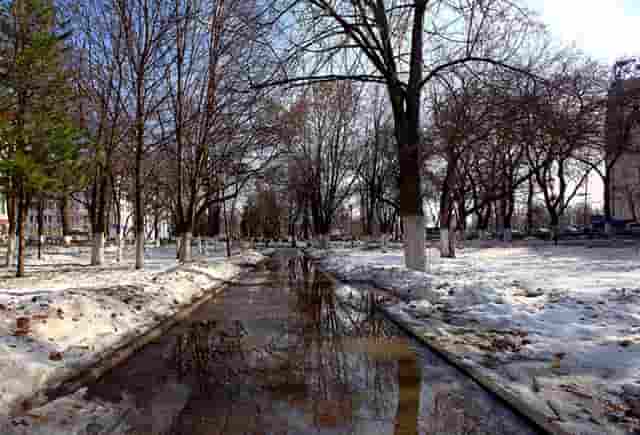 为什么人们会喜欢胡海泉本宫的茶