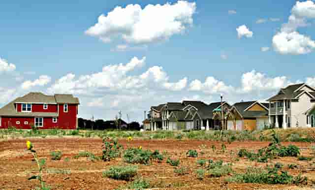 袖虎病猫攻略：猫咪肥胖知多少