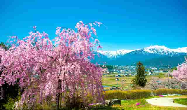辽宁红河峡谷漂流旅游遭不公待遇 始作俑者遭调离