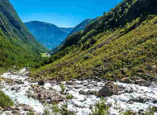 袖虎病狗攻略：关于狗狗断尾那些你不知道的事