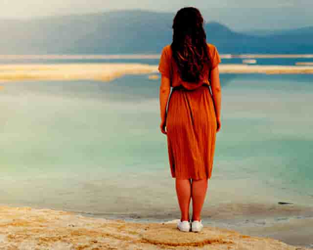 袖虎病狗攻略：哮喘的狗狗要小心