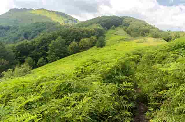 蔡嘉珍成功獲得註冊理財規劃師資格