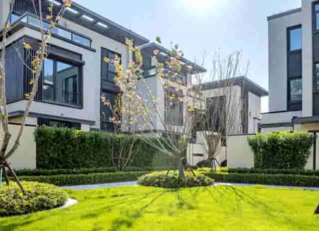 东京奥运会男乒乓马龙(东京奥运会旗手是马龙)